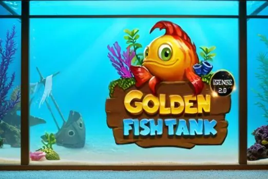 Golden Fish Tank